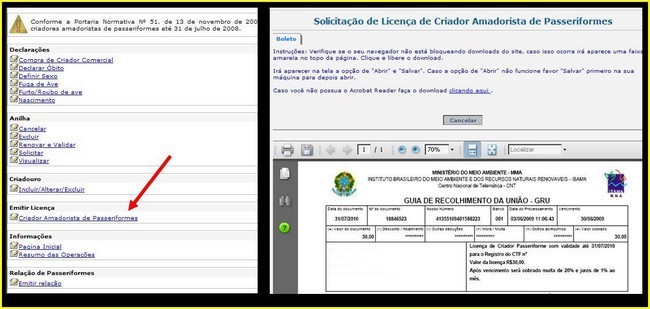 licenca_criad_am.jpg