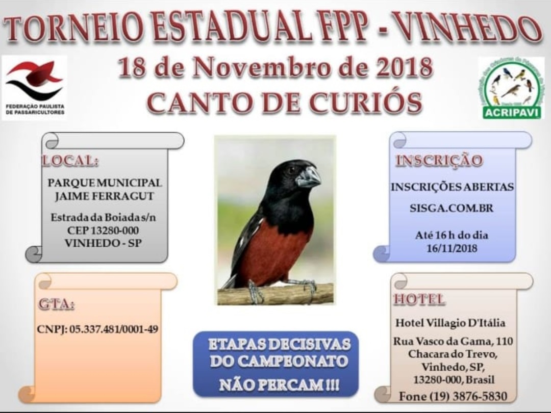 vinhedo_nov_2018.jpg